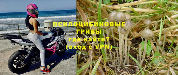 дурь Кукмор