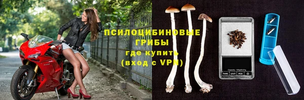 дурь Кукмор