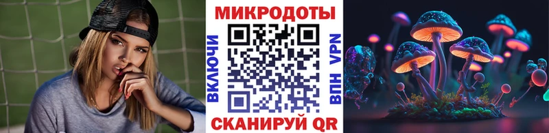 Галлюциногенные грибы прущие грибы  Купить закладки  Заводоуковск 